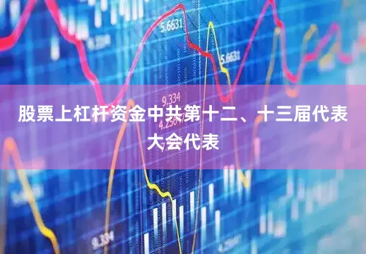 股票上杠杆资金中共第十二、十三届代表大会代表