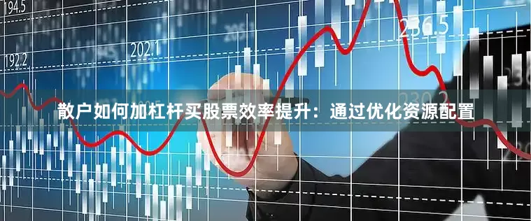散户如何加杠杆买股票效率提升：通过优化资源配置
