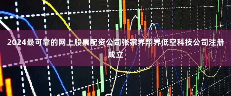 2024最可靠的网上股票配资公司张家界翔界低空科技公司注册成立