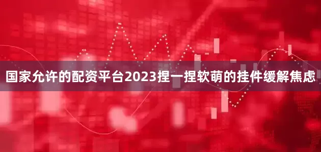 国家允许的配资平台2023捏一捏软萌的挂件缓解焦虑